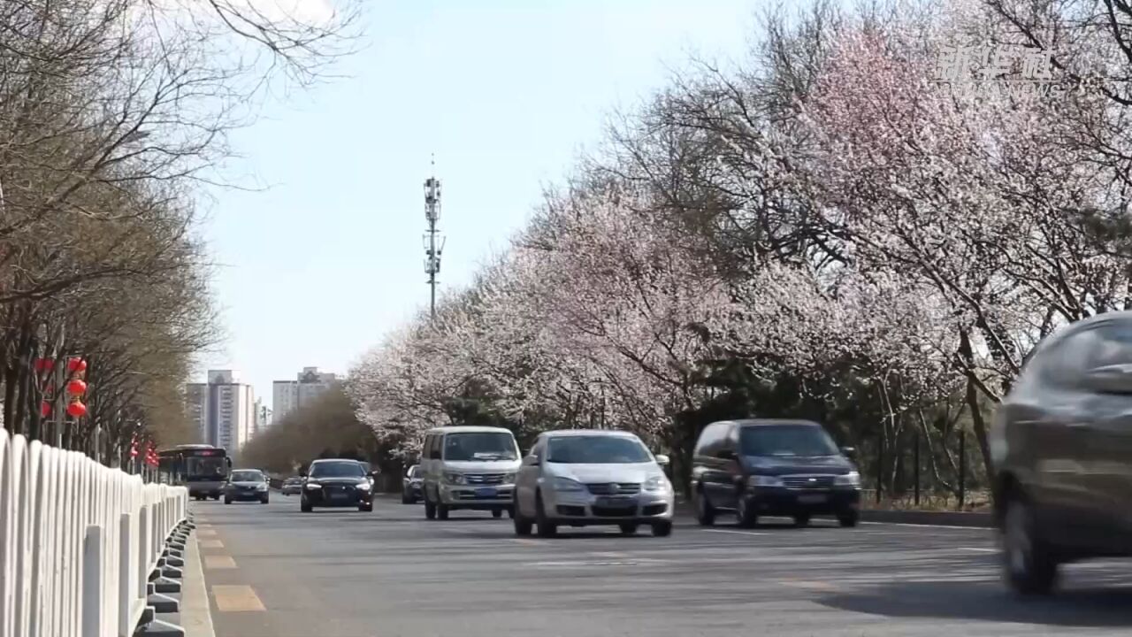 北京七部门联合督导 全面加强扬尘污染防治