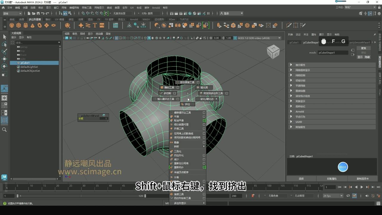 【SCI科研制图教程】如何用maya软件做Schwarz'p(Maya软件)