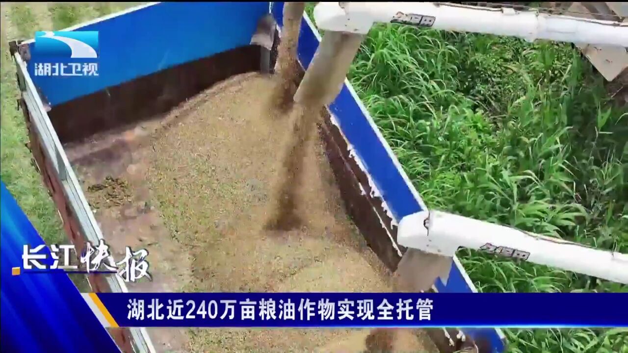 湖北近240万亩粮油作物实现全托管