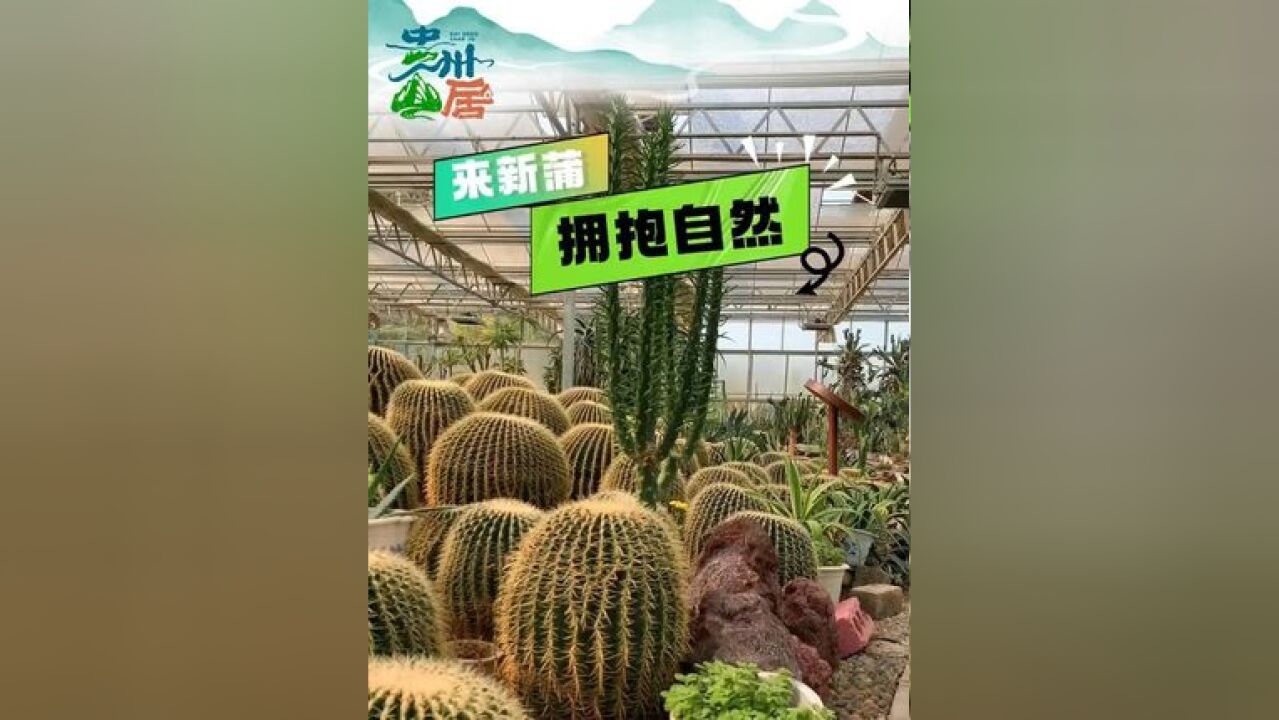 #贵州山居来新蒲拥抱自然,放飞自由(来源:新蒲新区融媒体中心