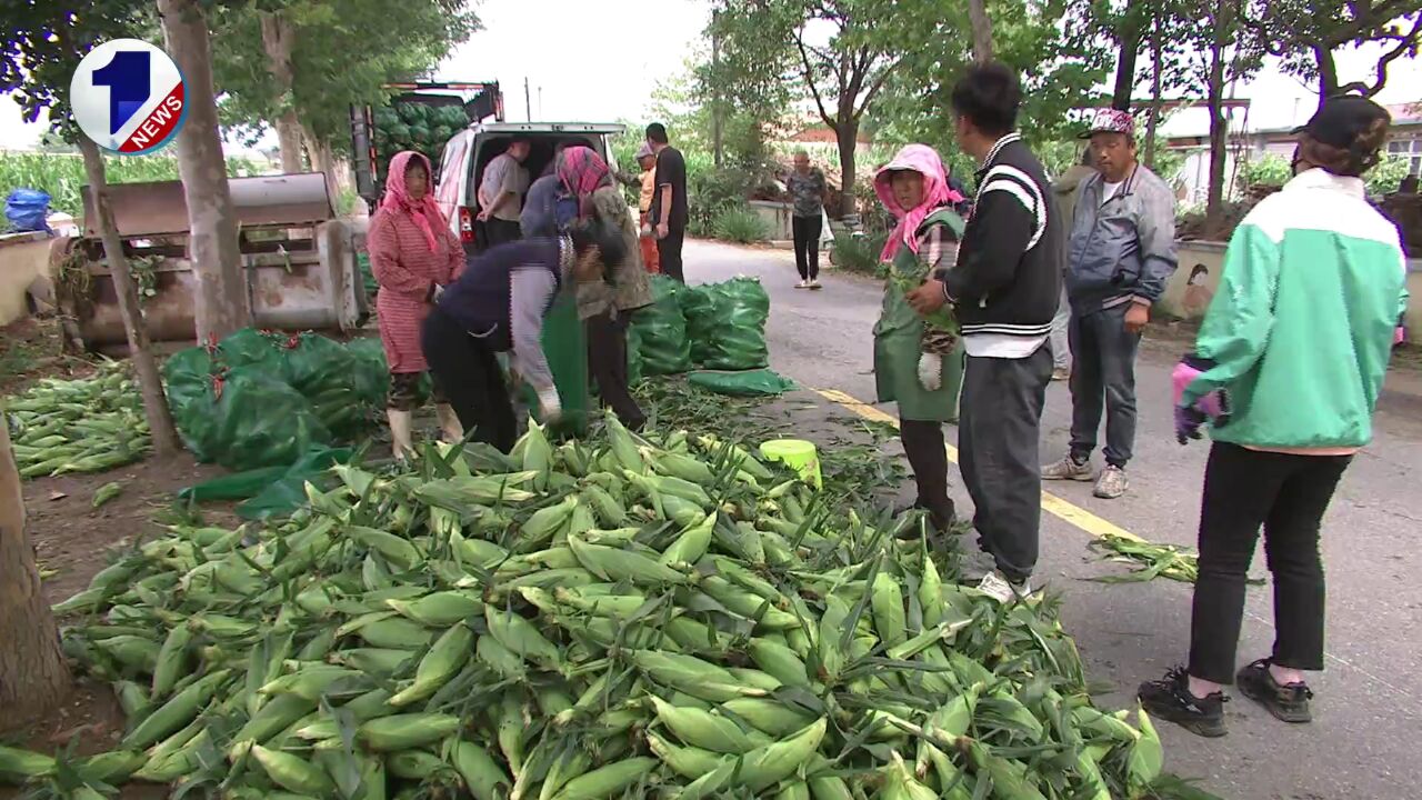 除了海鲜大樱桃 大连这些“土”特产竟如此抢手!