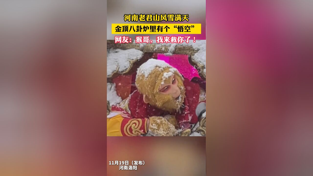 河南老君山迎来今年第一场大雪:“猴哥”被困金顶八卦炉 仿佛电视剧重播了