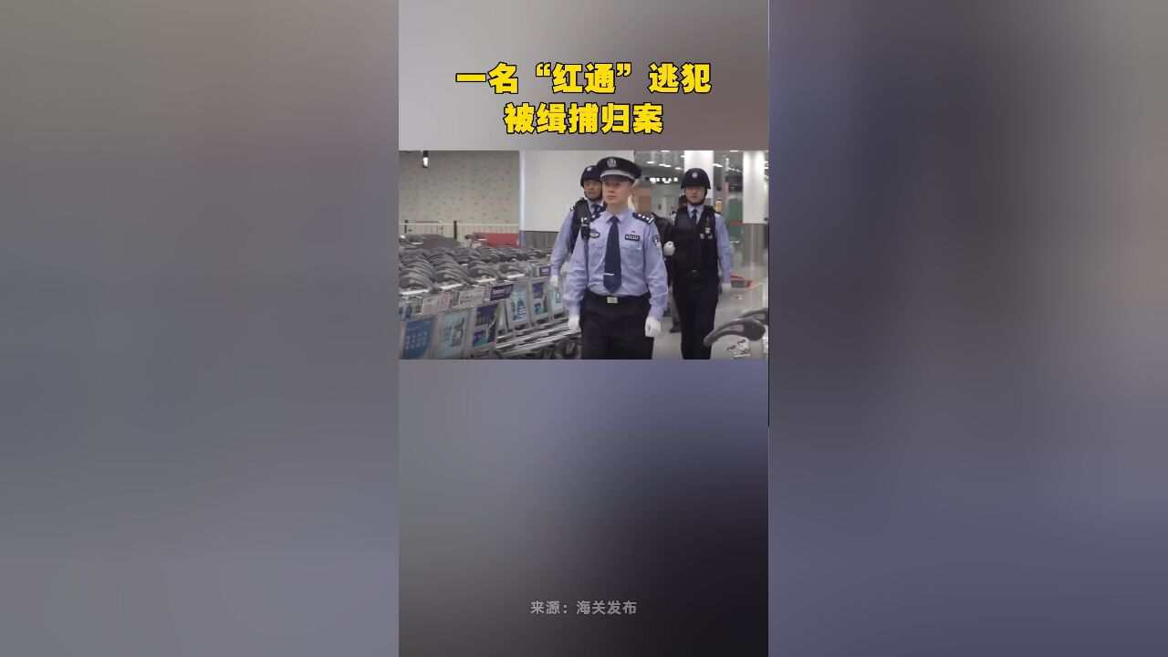 一名“红通”逃犯被缉捕归案