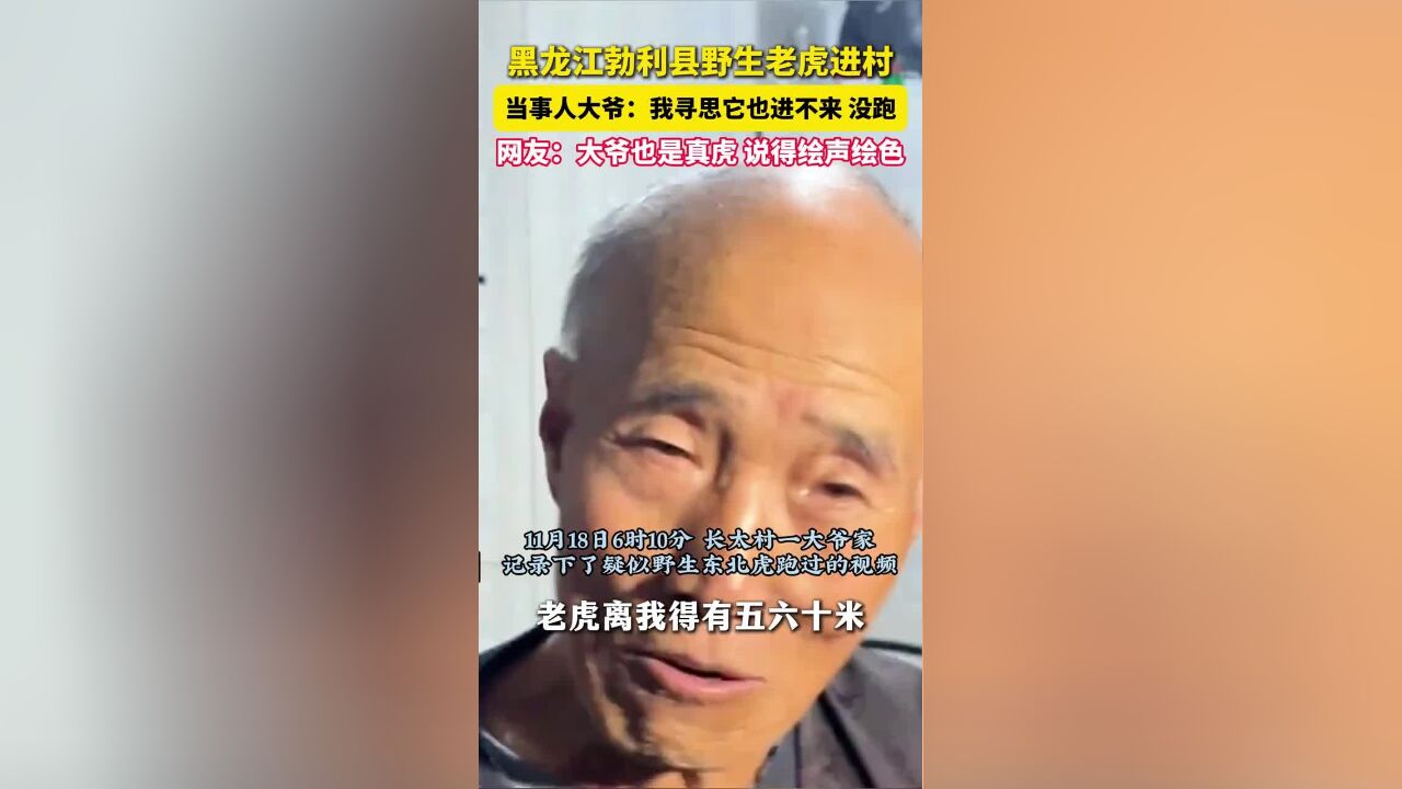 网友:大爷是真虎!家中进老虎的黑龙江村民回忆事发过程:当时我也没想跑!广大群众要做好安全防范.