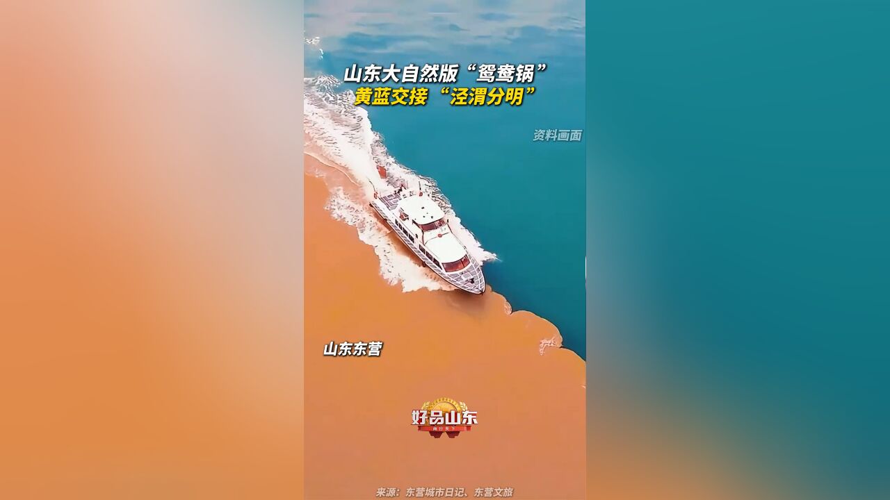 山东大自然版“鸳鸯锅”,黄蓝交接“泾渭分明”