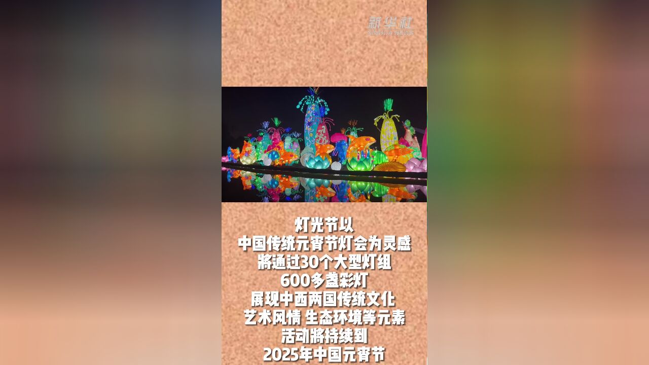 中国彩灯闪耀“马拉加灯光节”