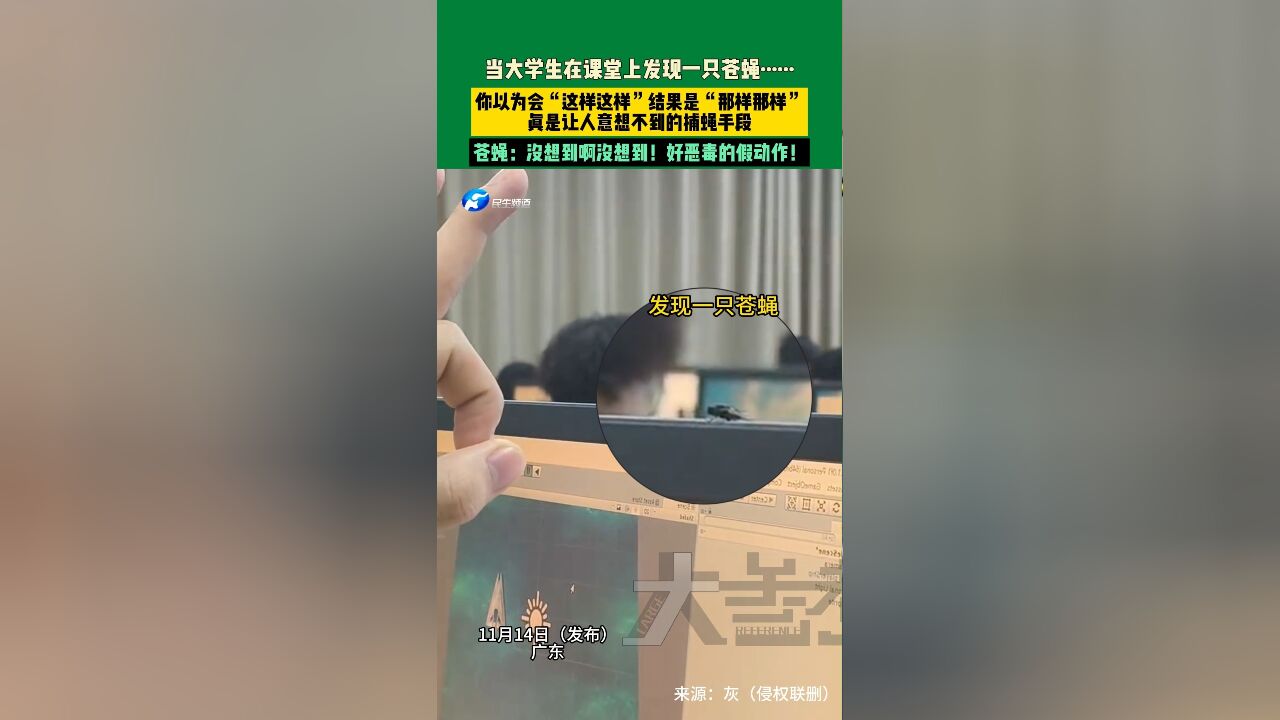 ...当大学生在课堂上发现一只苍蝇ⷂ𗂷ⷂ𗂷你以为会“这样这样”结果是“那样那样”,真是让人意想不到的捕蝇手段,苍蝇:没想到啊没想到!好恶毒...