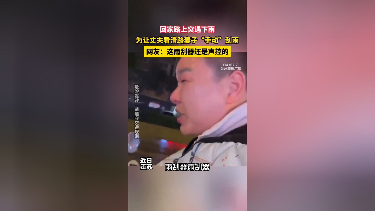 回家路上突遇下雨,为让丈夫看清路妻子“手动”刮雨