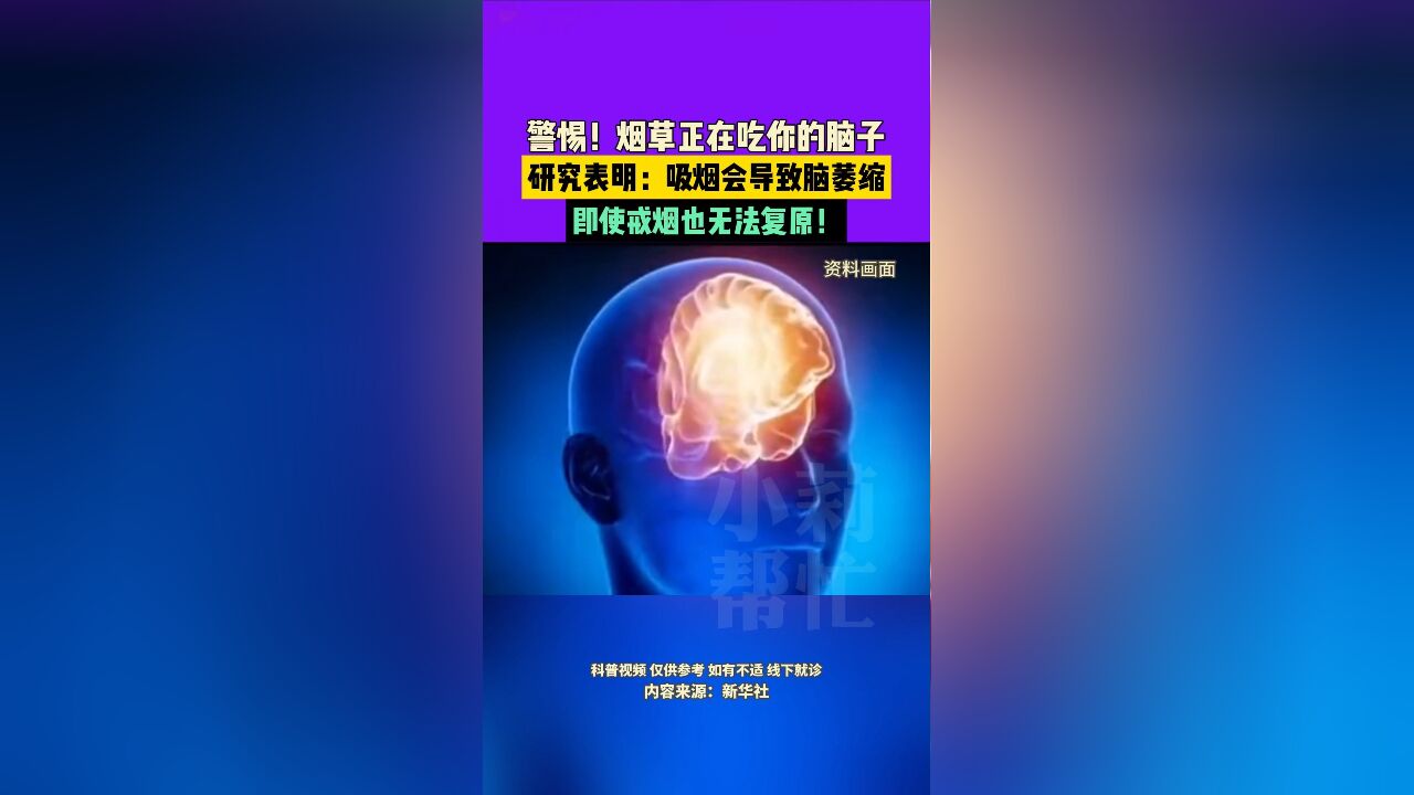 11月20日,警惕!烟草正在吃你的脑子,研究表明:吸烟会导致脑萎缩,即使戒烟也无法复原!