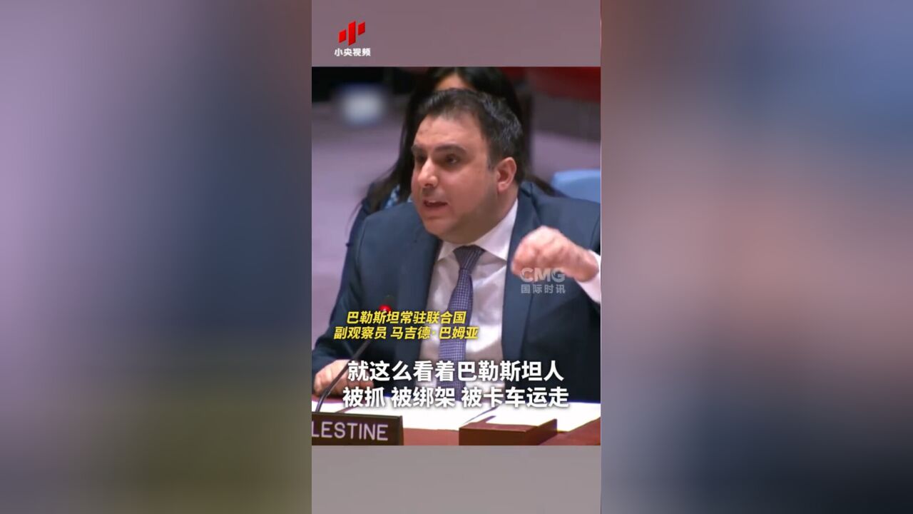 美国又一次一票否决 巴勒斯坦代表捶桌怒斥