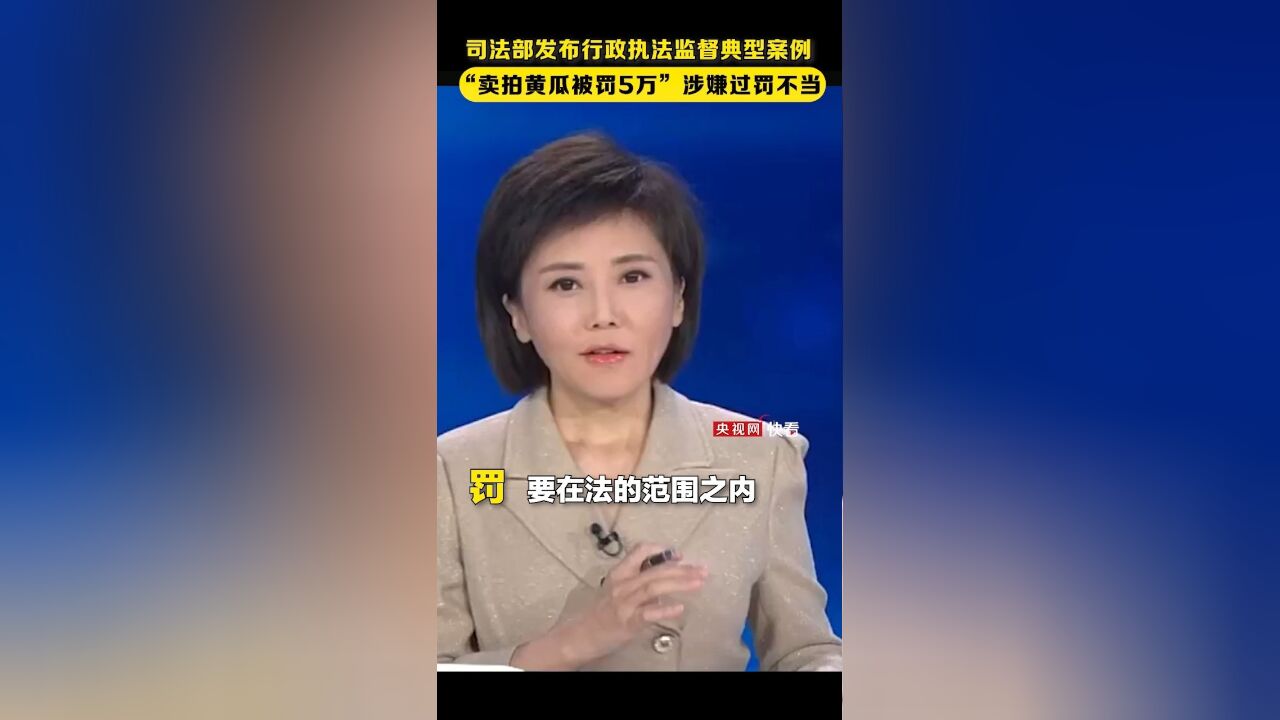 “卖拍黄瓜被罚5万”涉嫌过罚不当,《新闻1+1》主播柴璐:罚要在法的范围之内,执法要在监督范围之内