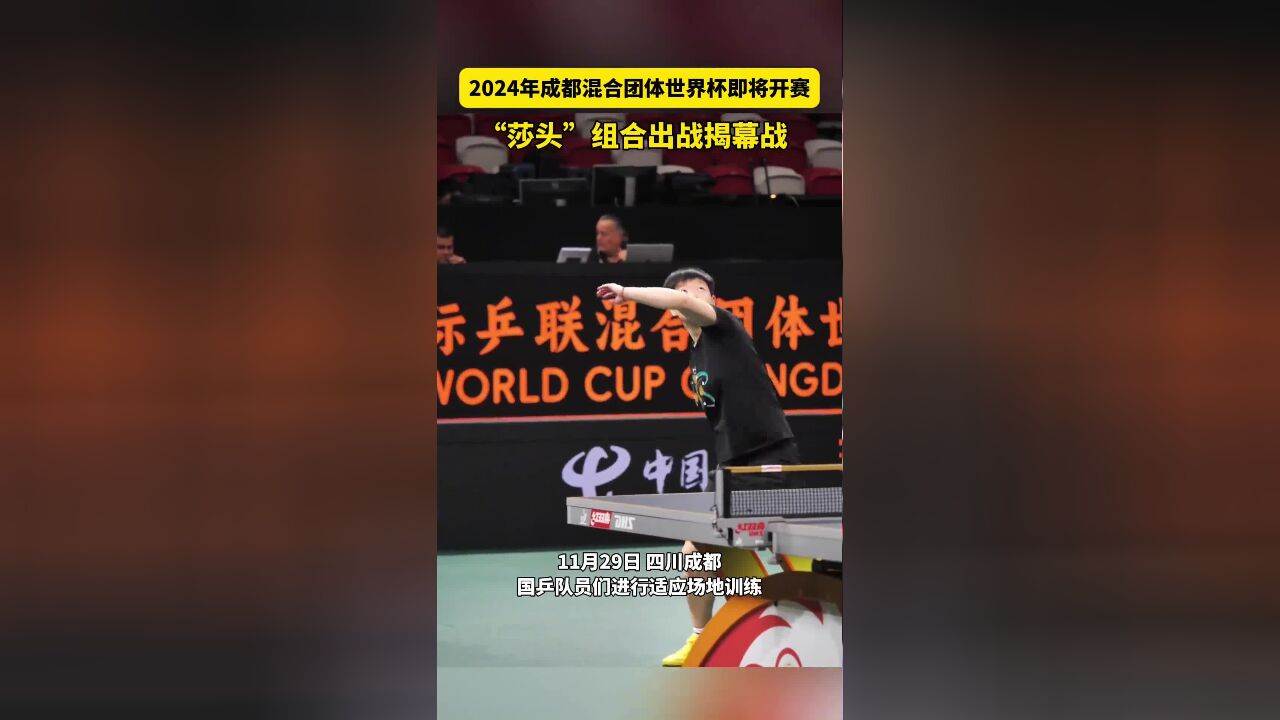 2024年成都混合团体世界杯,即将开赛,“莎头”组合迎来奥运后的首次混双比赛