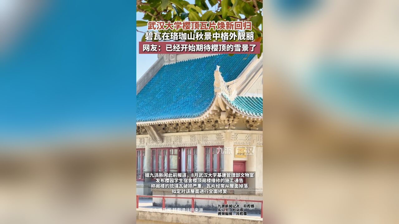 武汉大学樱顶瓦片焕新回归,碧瓦在珞珈山秋景中格外靓丽