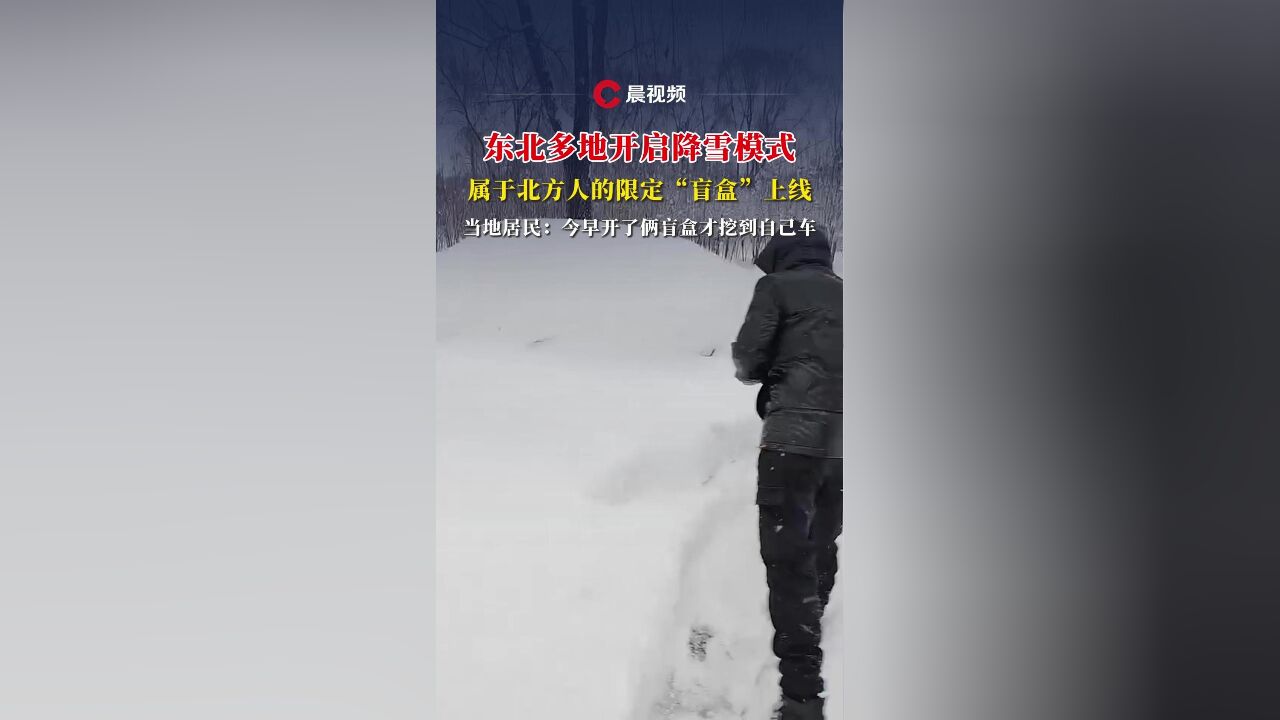 东北多地开启降雪模式,属于北方人的限定“盲盒”上线,市民:开了俩盲盒才挖到自己车