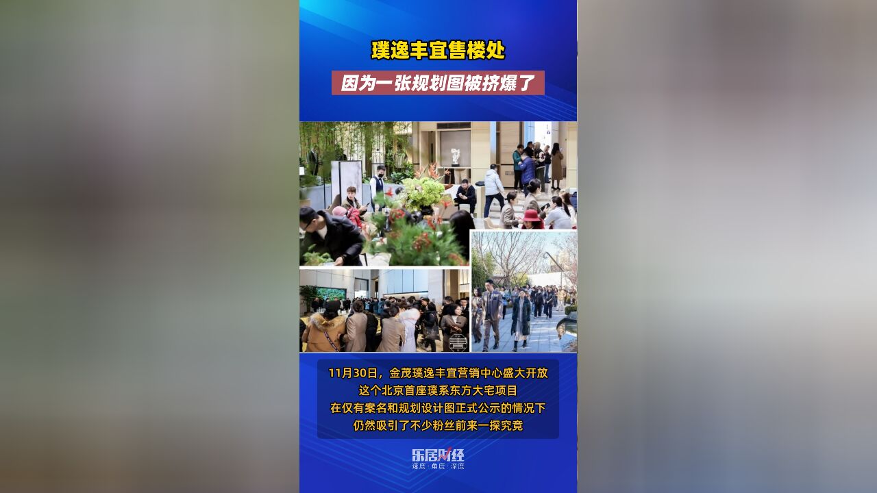 璞逸丰宜售楼处,因为一张规划图被挤爆了