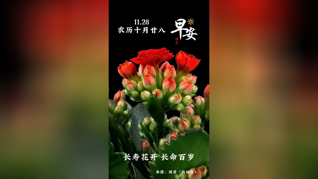 新的一天,愿你四季平安,喜乐常伴,早安!