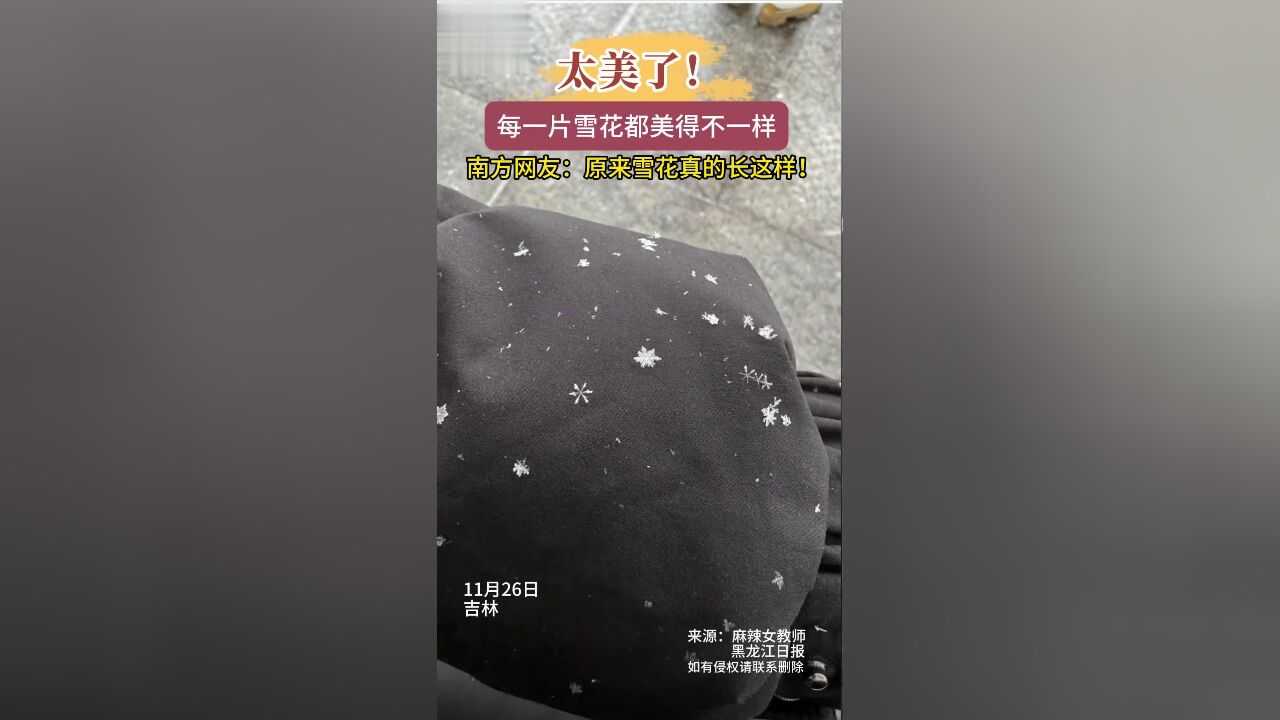 太美了,原来雪花真的长这样!