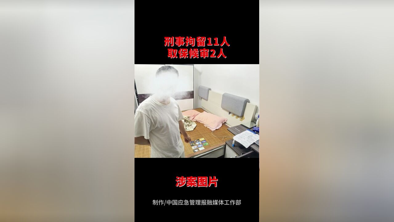 特种作业违法违规典型案例假冒政府网站制售假证,,中国应急管理报融媒体工作部制作