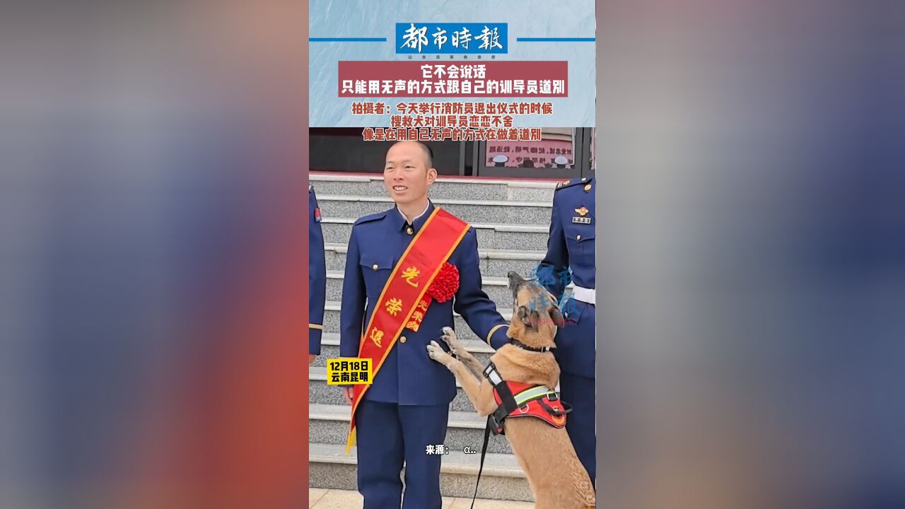 搜救犬对训导员恋恋不舍 像是在用自己无声的方式在做着道别