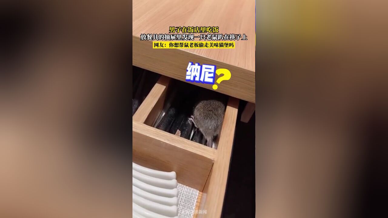 男于在饭店里吃饭,放餐具的抽展里发现一只老鼠趴在筷子上,网友你想帮鼠老板偷走美味猫堡吗