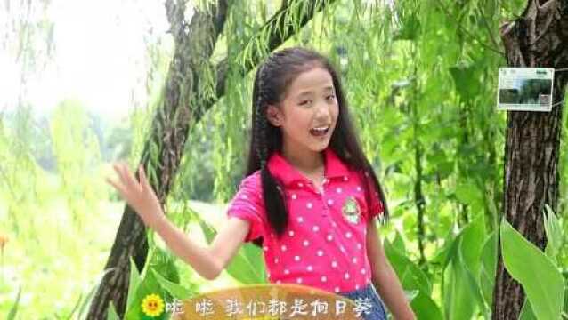 《向日葵》李思慧