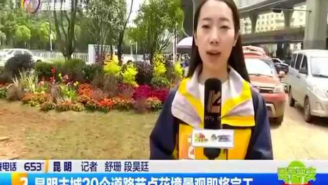 昆明主城20个道路节点花境景观即将完成