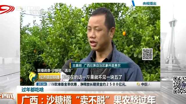 过年都吃啥 广西:沙糖橘“卖不脱”果农愁过年