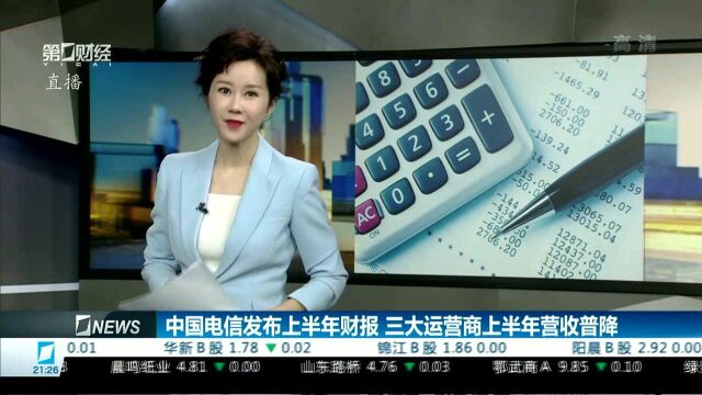 中国电信发布上半年财报 三大运营商上半年营收普降