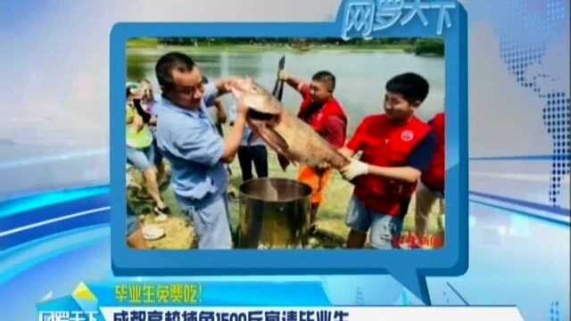 成都高校捕鱼1500斤宴请毕业生