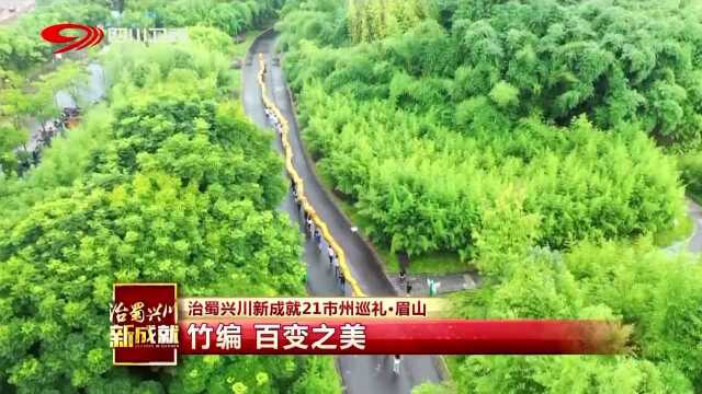 治蜀兴川新成就21市州巡礼ⷮŠ眉山 竹编 百变之美