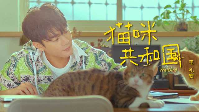 韦礼安《猫咪共和国》MV上线,铲屎官的福利来了