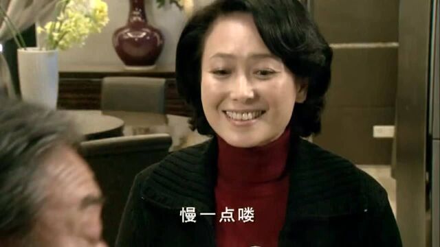 野鸭子228精彩片段