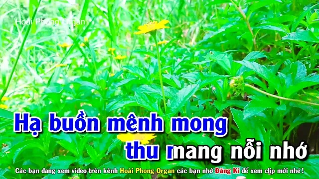 Hai 䐡𛩡 M㬮h Y㪵 Nhau  Tone Nam