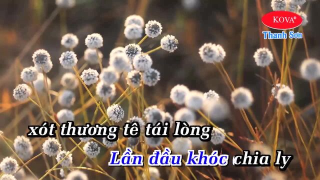 Sợ T㬮h Ta Dang Dở