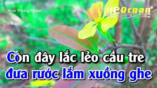 Vui Tết Miệt V氡𛝮  Tone Nam