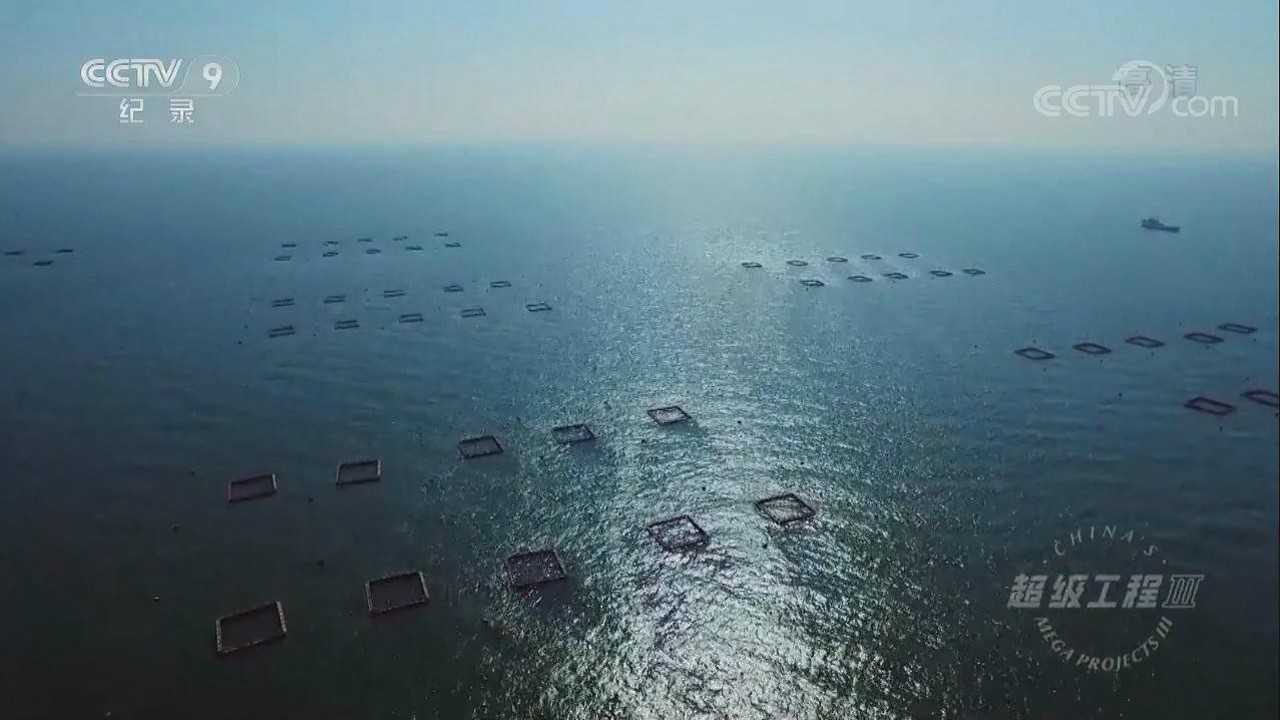 中国是世界上唯一一个水产养殖量超过捕捞量的国家 腾讯视频