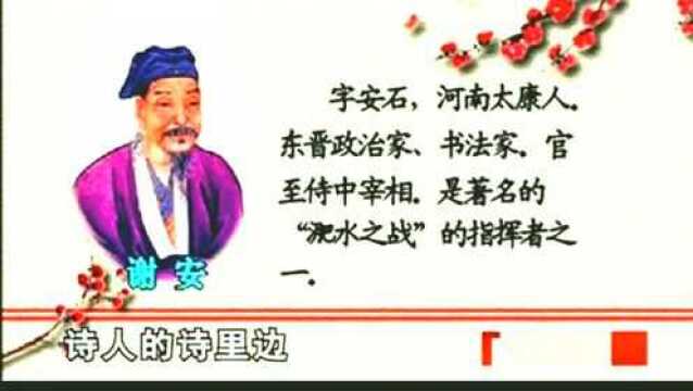 百家讲坛之康震:安史之乱的李白,短暂的政治生涯!