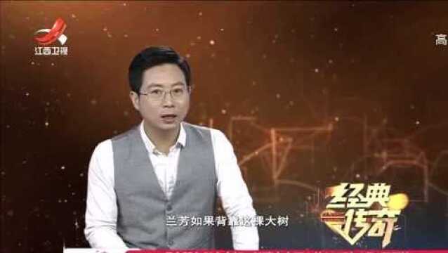 古今备受追捧的天下第一石鼓,离奇失踪,这是怎么回事?