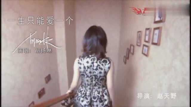 一曲《一生只能爱一个》好伤感,再续《香水有毒》的女人味