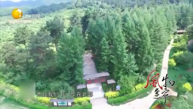 东洲区兰山村,堪称人间仙境,空气新鲜环境好!