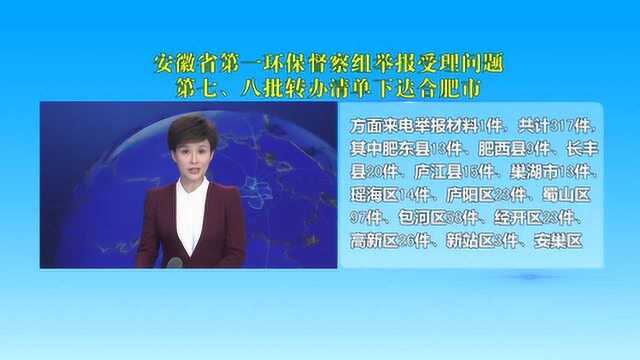 安徽第一环保督察组举报受理问题 第七、八批转办清单下达合肥市