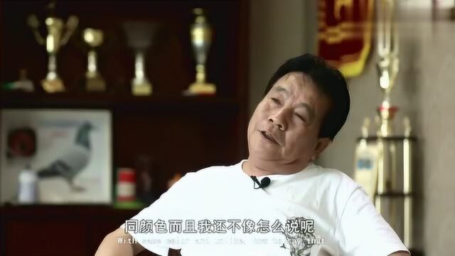 对话北京李甫(二):更喜欢用雌鸽打比赛