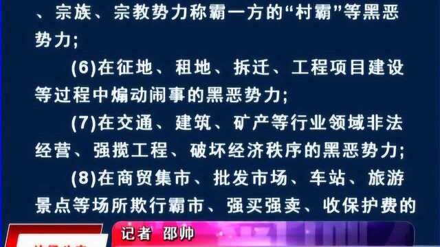 《扫黑除恶专项斗争知识解读》扫黑除恶专项斗争的重点打击对象