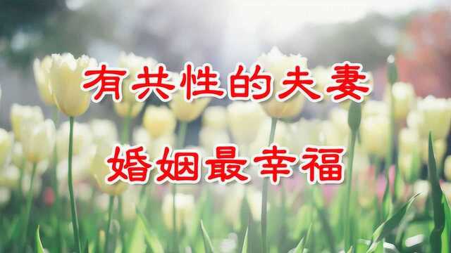 有这三个共同特点的夫妻,婚姻都很幸福!有你吗?