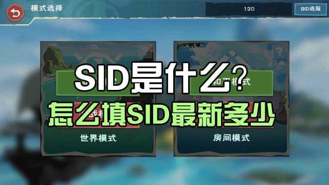 创造与魔法怎么选服务器SID是什么怎么填输入和平混战最新服多少