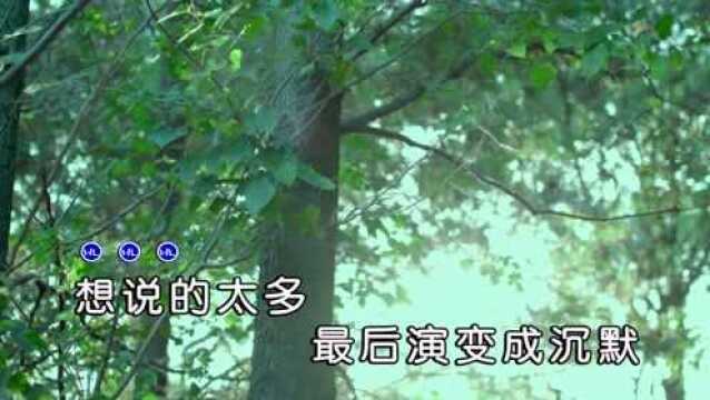 阿古力歌曲《信笺》红日蓝月KTV推介