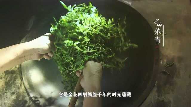 湖南广播电视台一次性创制9条精准扶贫广告——安化黑茶篇