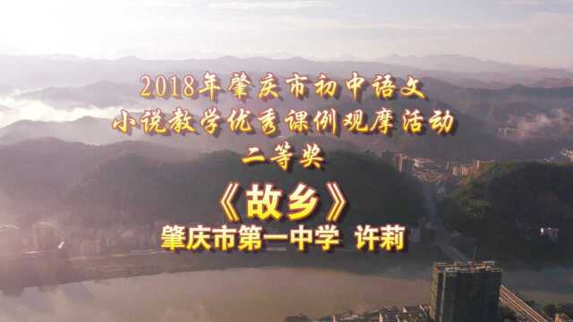 2018年肇庆市初中语文小说教学优秀课例 二等奖 肇庆中学 许莉