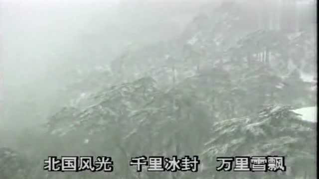 沁ⷮŠ园春雪:独领风骚!