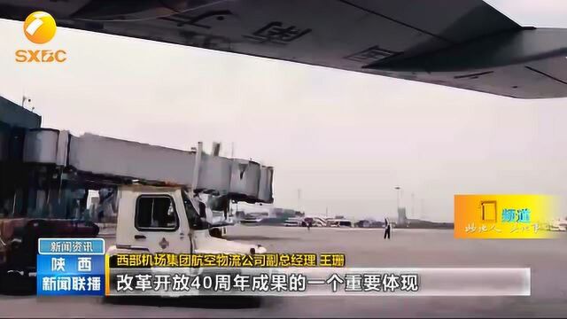 基层行:改革开放添动力,推动航空物流发展实现历史跨越